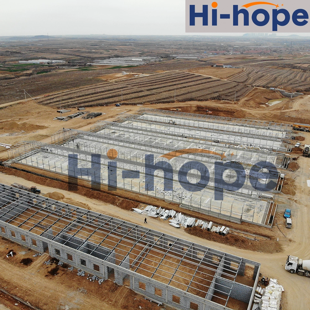 Best Price Prefabricated Steel Structure Poultry Livestock House