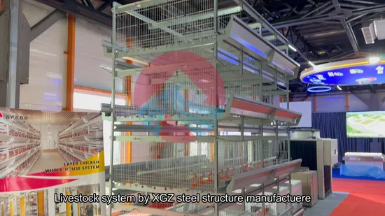 One-Stop Steel Structure Poultry Chicken House