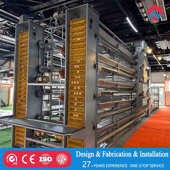 One-Stop Steel Structure Poultry Chicken House