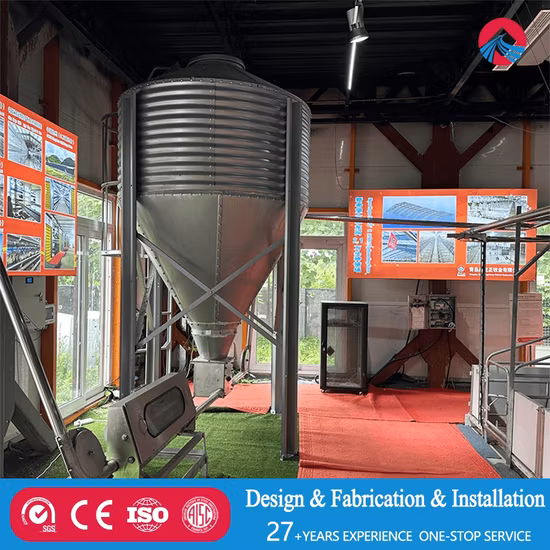 One-Stop Steel Structure Poultry Chicken House